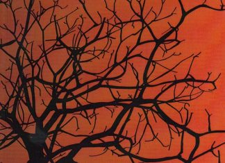 The Hanging Tree by Michael Phillip Cash Review Hanging Tree