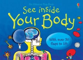 See Inside Your Body by Katie Daynes and Colin King Review See Inside Your Body