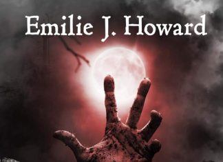 Cold Hollow by Emilie J. Howard Review Cold Hollow