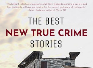 The Best New True Crime Stories: Small Towns by Mitzi Szereto Review Small Towns