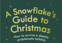 A Snowflake’s Guide to Christmas by Dave Skinner Review Snowflake's