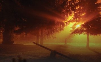 Ghost Stories by Pennie Mae Cartawick Review Ghost Stories