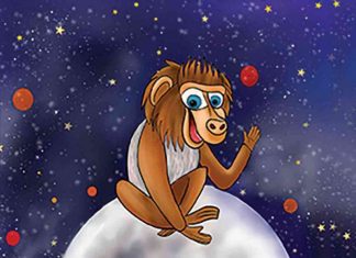 Baboon on the Moon by Claire Bates Review Baboon